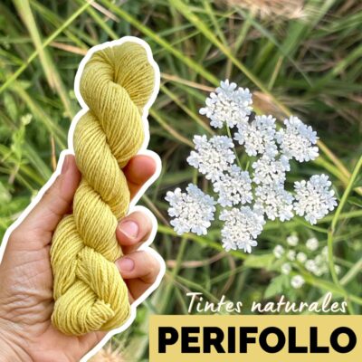 Caratula madeja de mayo teñida con perifollo
