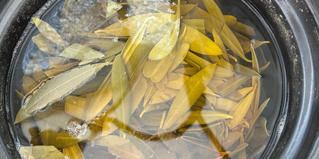 Olla donde se están cociendo hojas de olivo para usar después como tinte