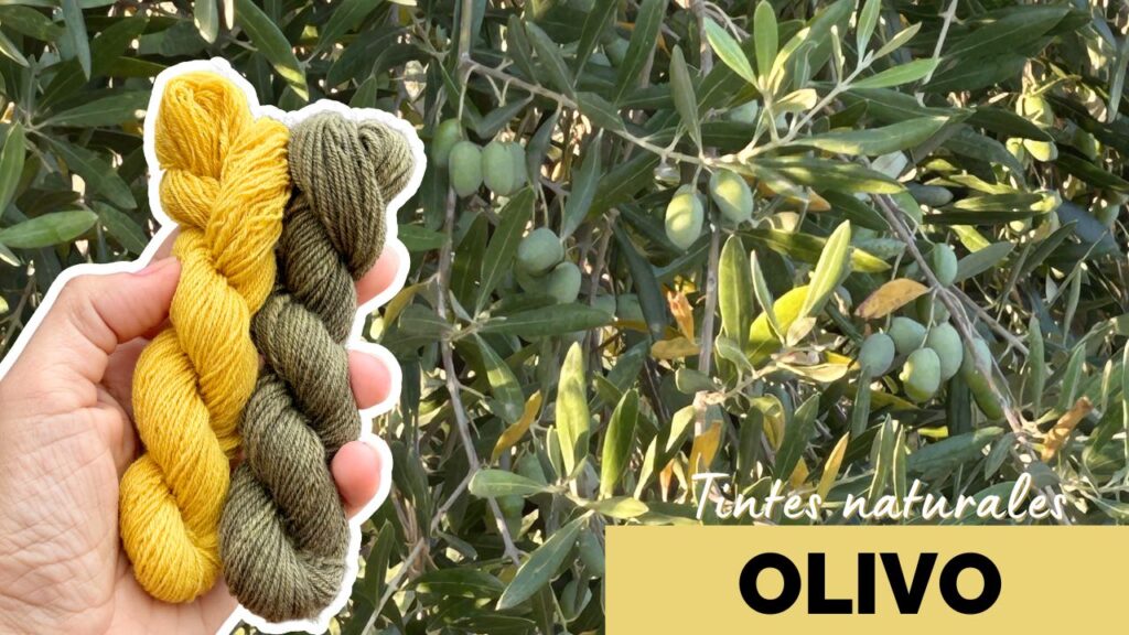 Carátula tinte natural con olivo