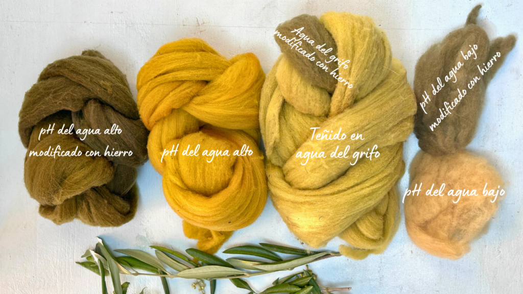 Diferentes colores obtenidos de teñir con olivo
